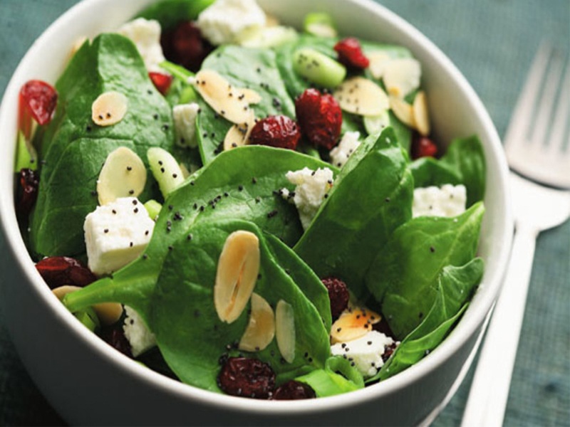 Best Healthy Salad Recipes to Lose Weight You Must Try