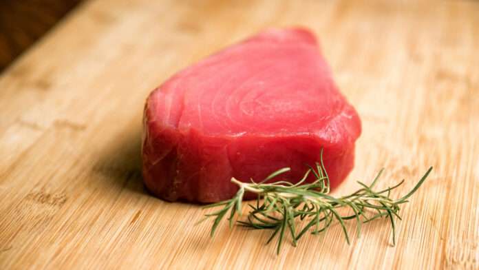 Can I Eat Tuna salad While Pregnant?