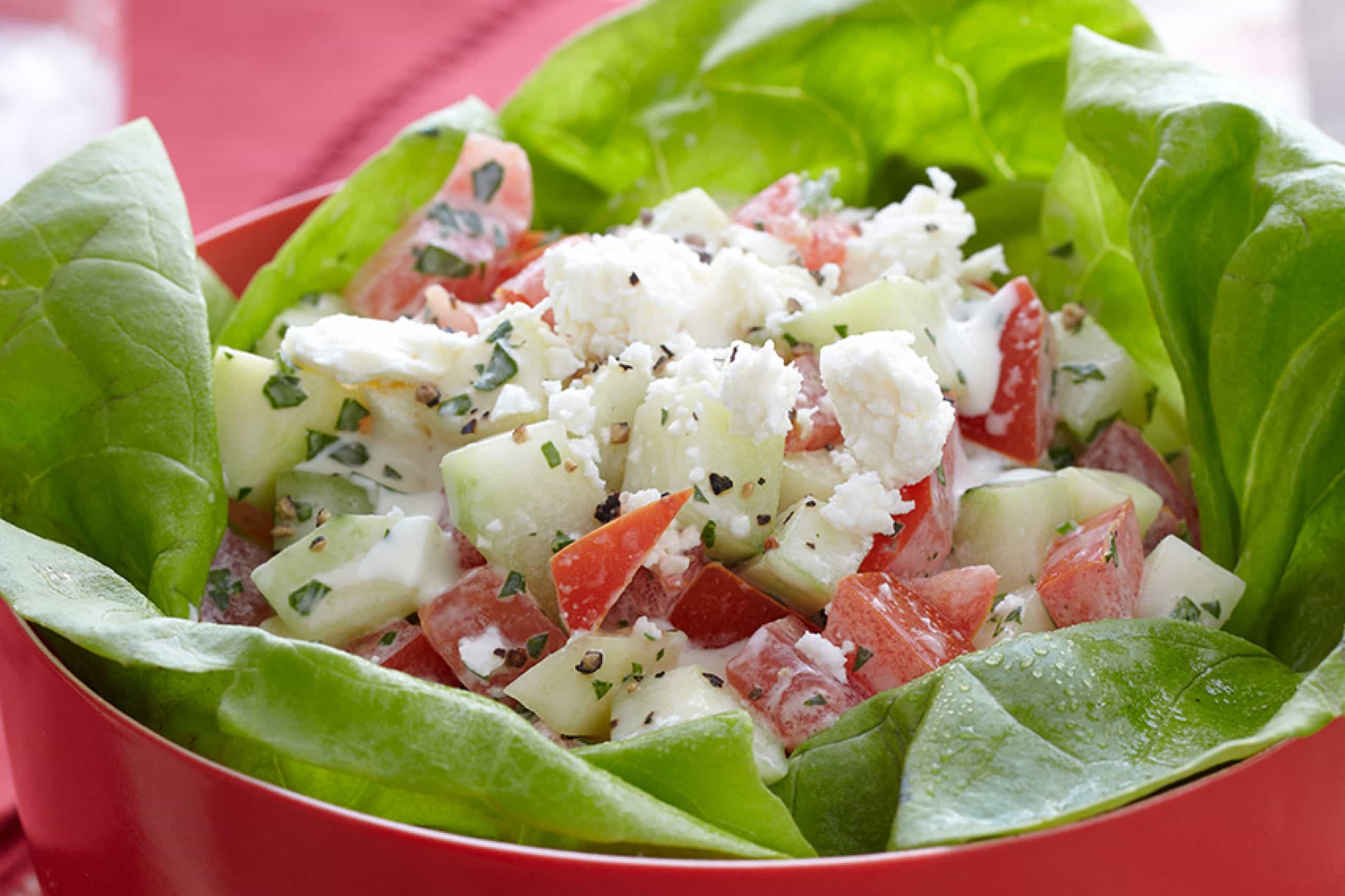 Cool Cucumber and Tomato Salad Recipe