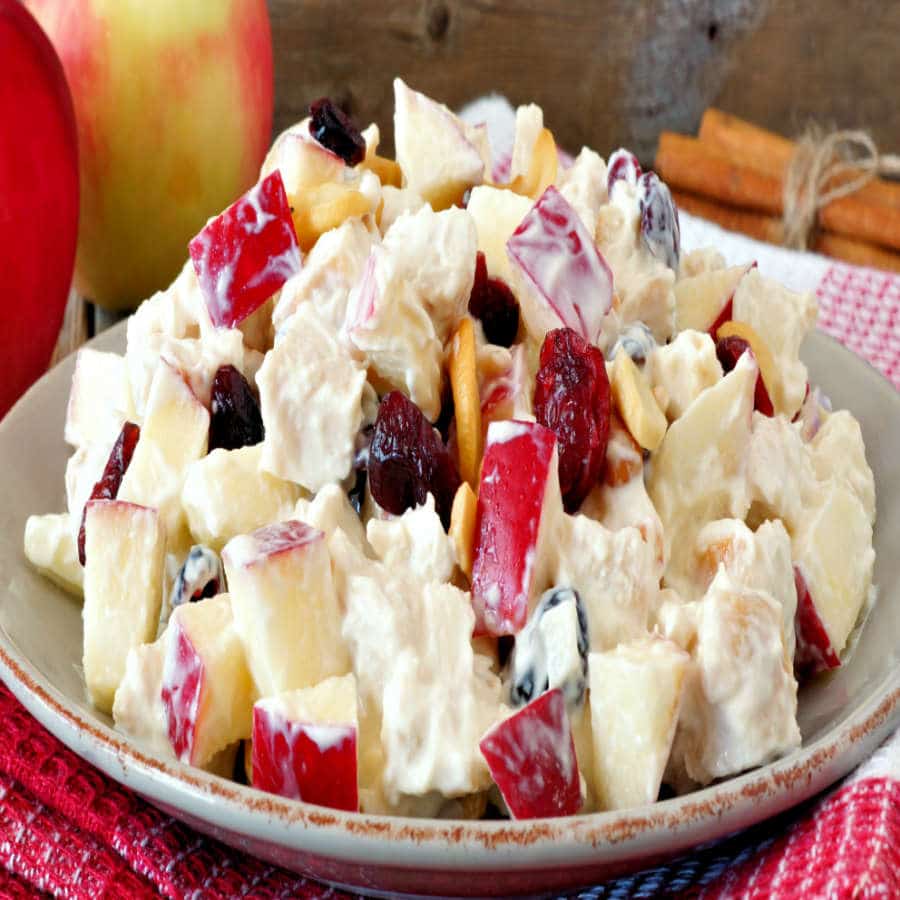 Cranberry Chicken Salad Recipe: How to Make Cranberry Chicken Salad