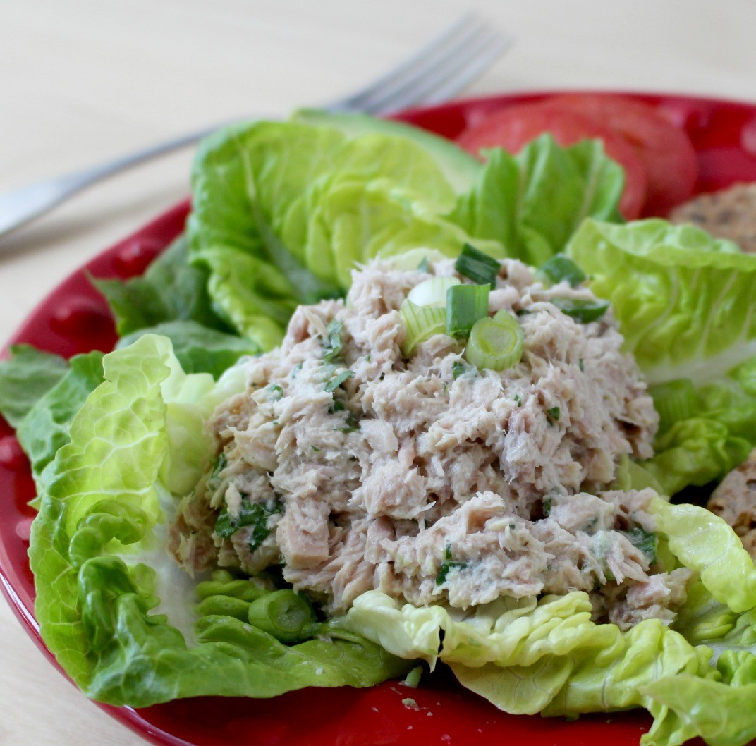 Healthy " No Mayo"  Tuna Salad