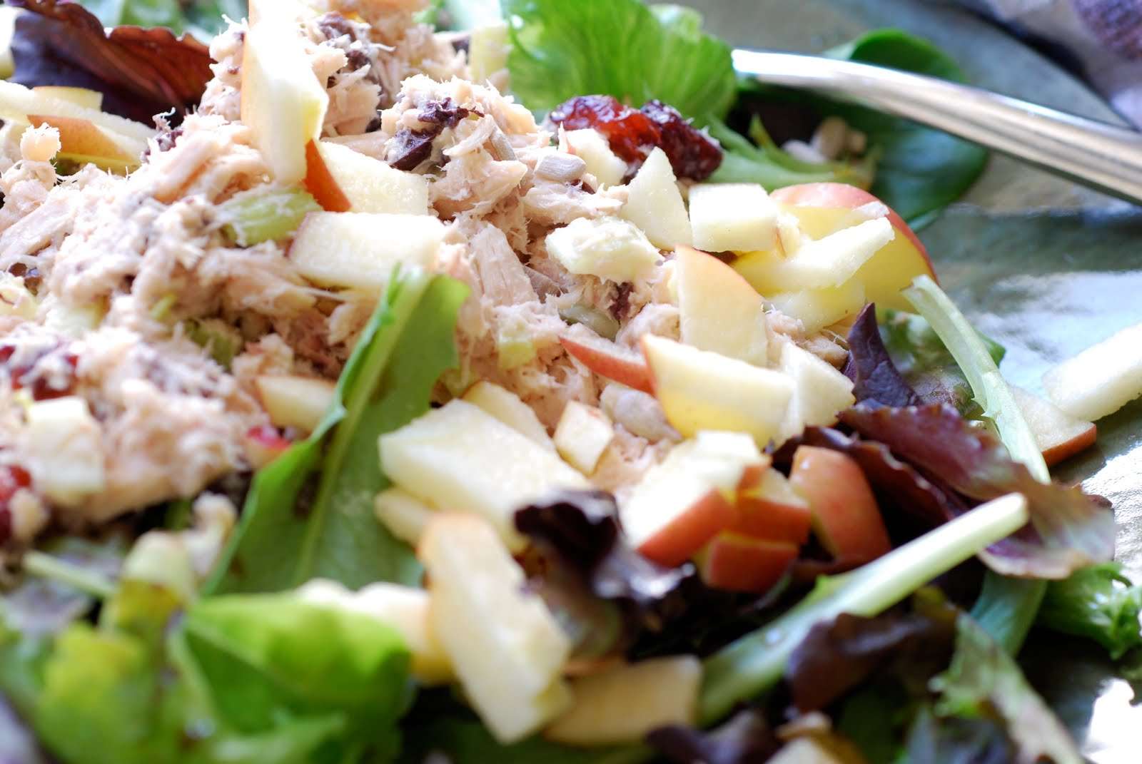 Recipes: Best Tuna Fish Salad